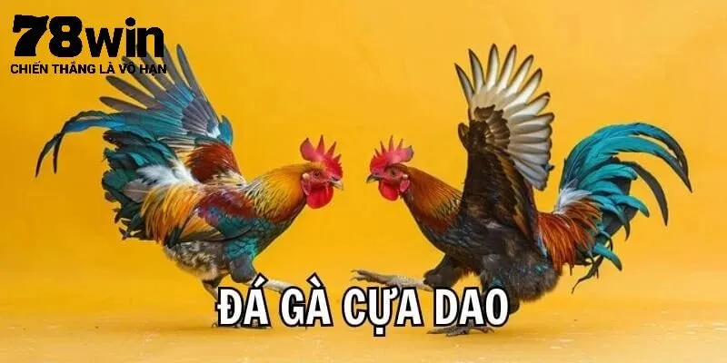 Tìm hiểu luật chơi cơ bản của đá gà cựa dao 78Win
